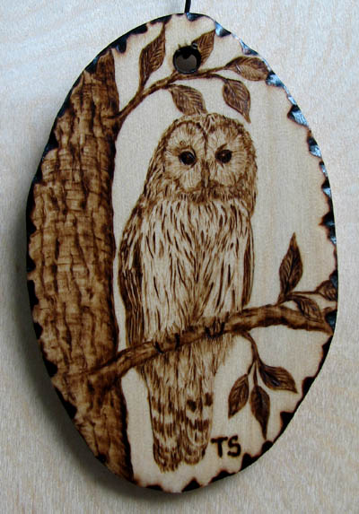 strix uralensis owl tanja sova pyrogaphy
